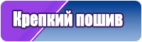Толстовка с шортами